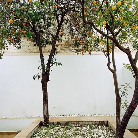 Sherryflat Jerez Centro Apartamento
