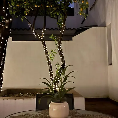 Wehostcostaluz Jerez Centro Con Terraza Privada Appartamento Jerez de la Frontera