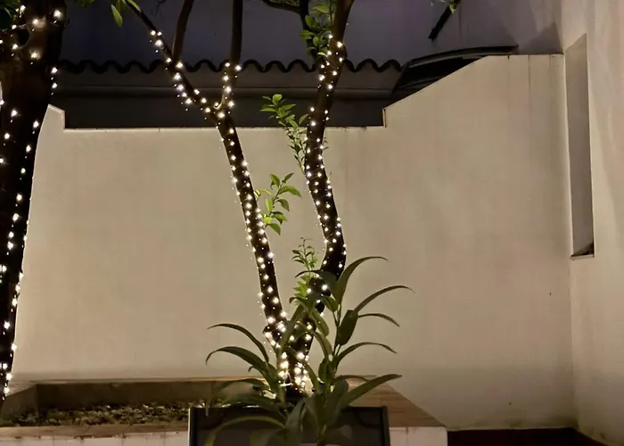 Wehostcostaluz Jerez Centro Con Terraza Privada Appartamento Jerez de la Frontera