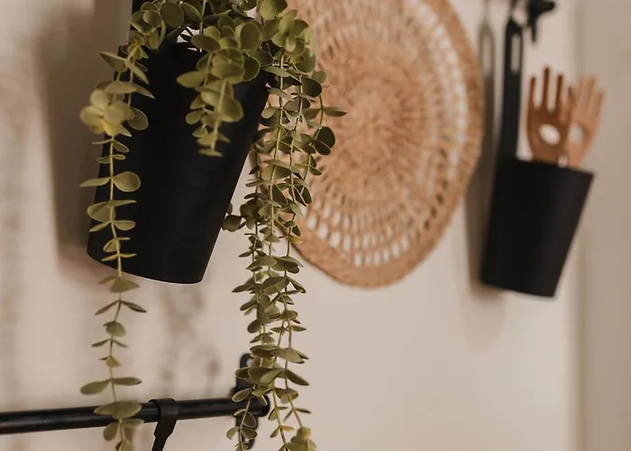 Wehostcostaluz Jerez Centro Con Terraza Privada