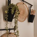 Wehostcostaluz Jerez Centro Con Terraza Privada